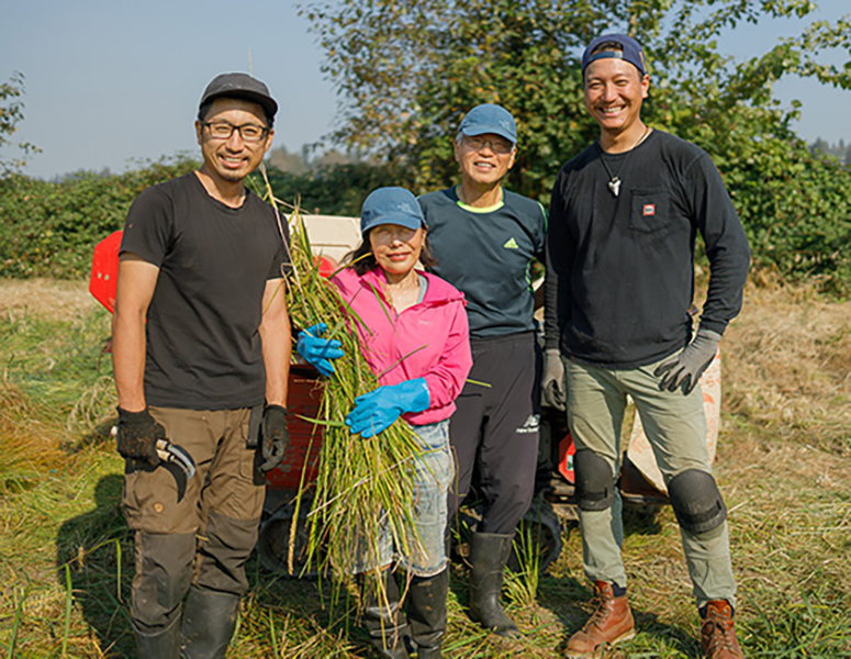 Rice production team